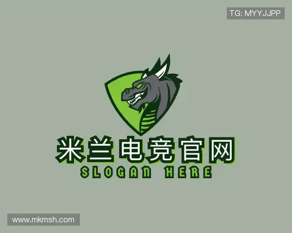 介绍米兰电竞官网